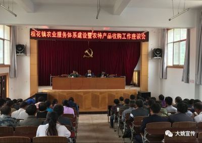 文化经纪人服务赋能民族文化产业——州民族文化调研组赴我县专题调研民族文化发展情况